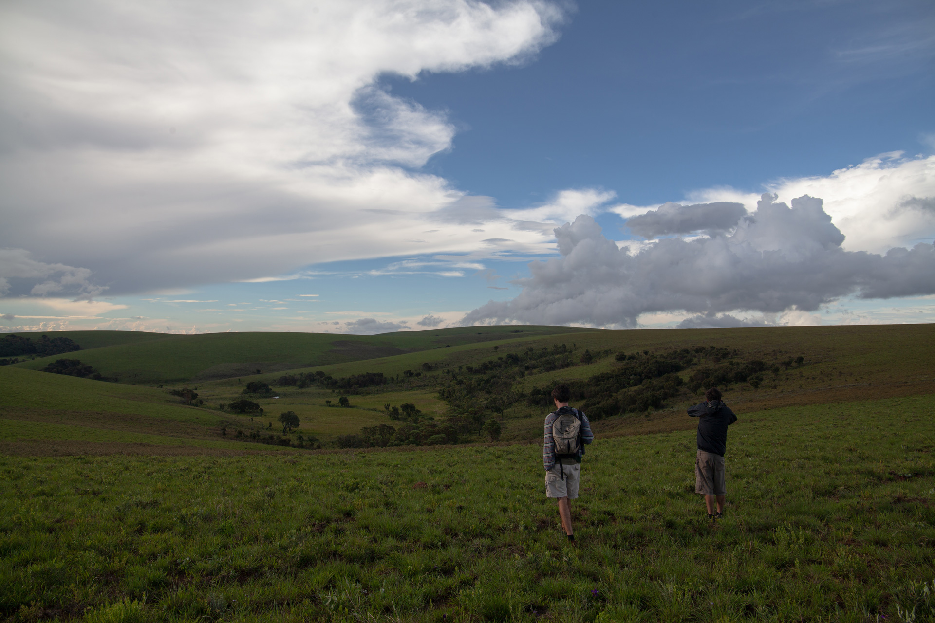 Birdwatching walk in Nyika National Park on African Birding Tour