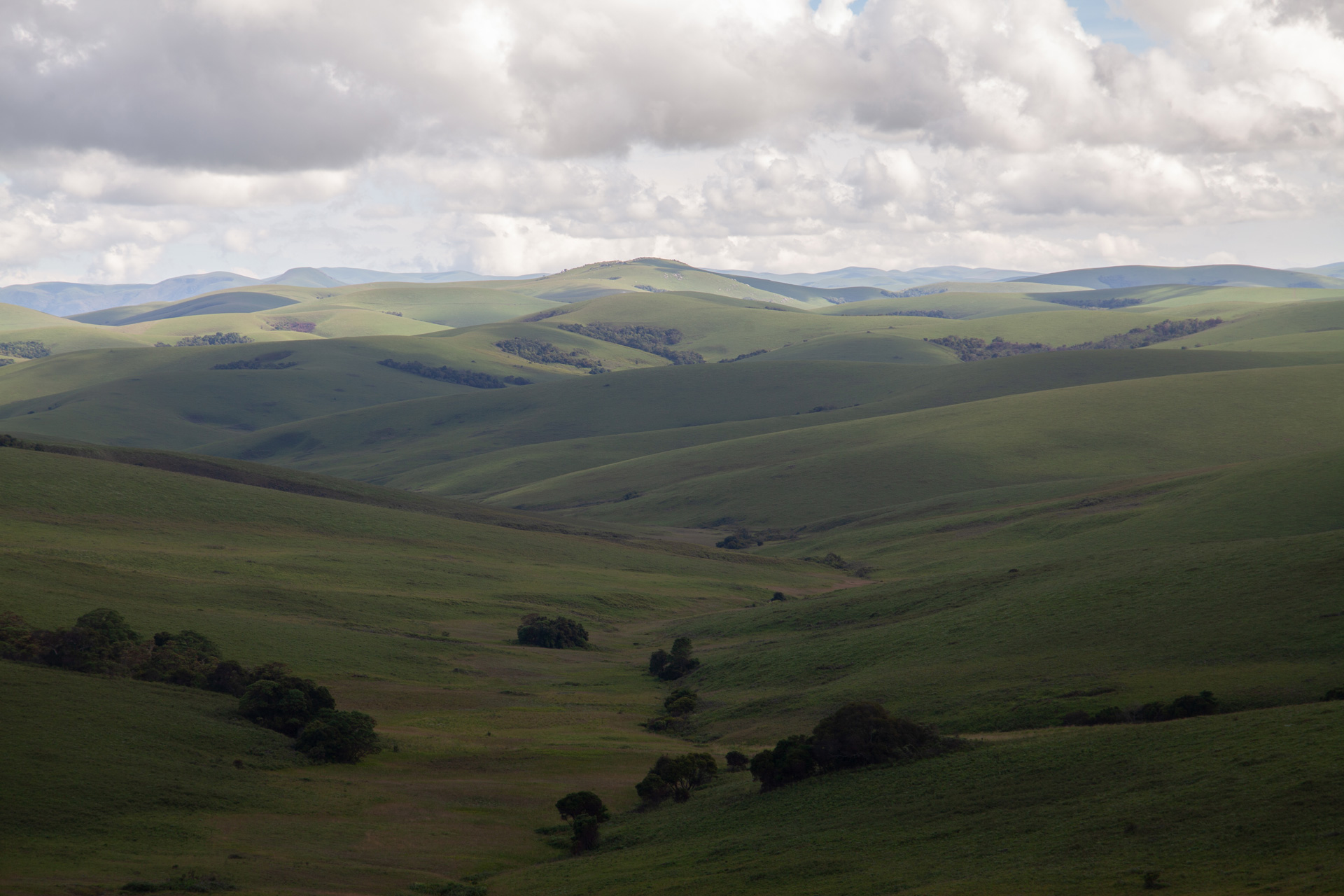 Nyika National Park on a African Birding Safari
