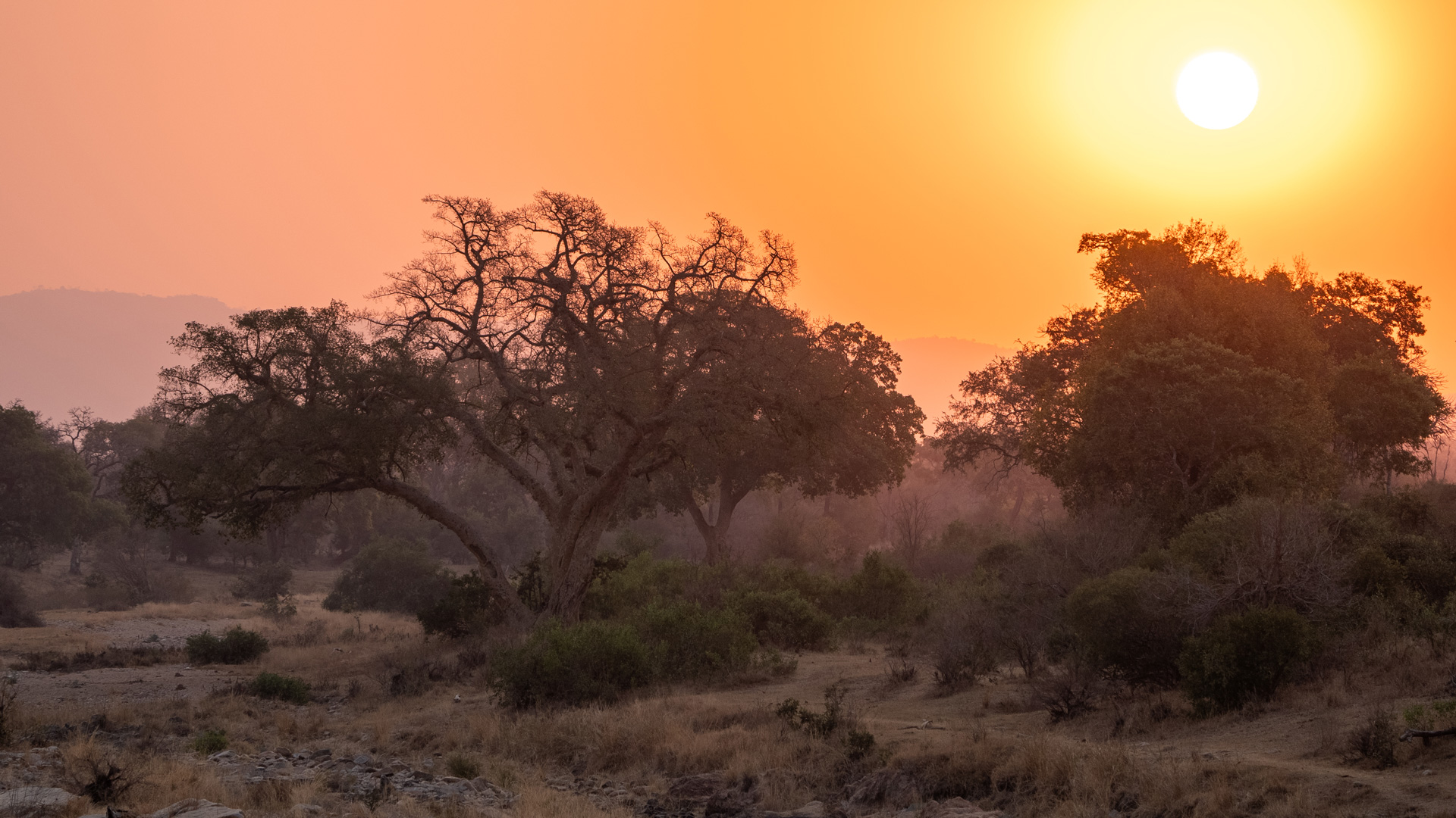 Sunset in Kruger National Park on African Birding Safaris