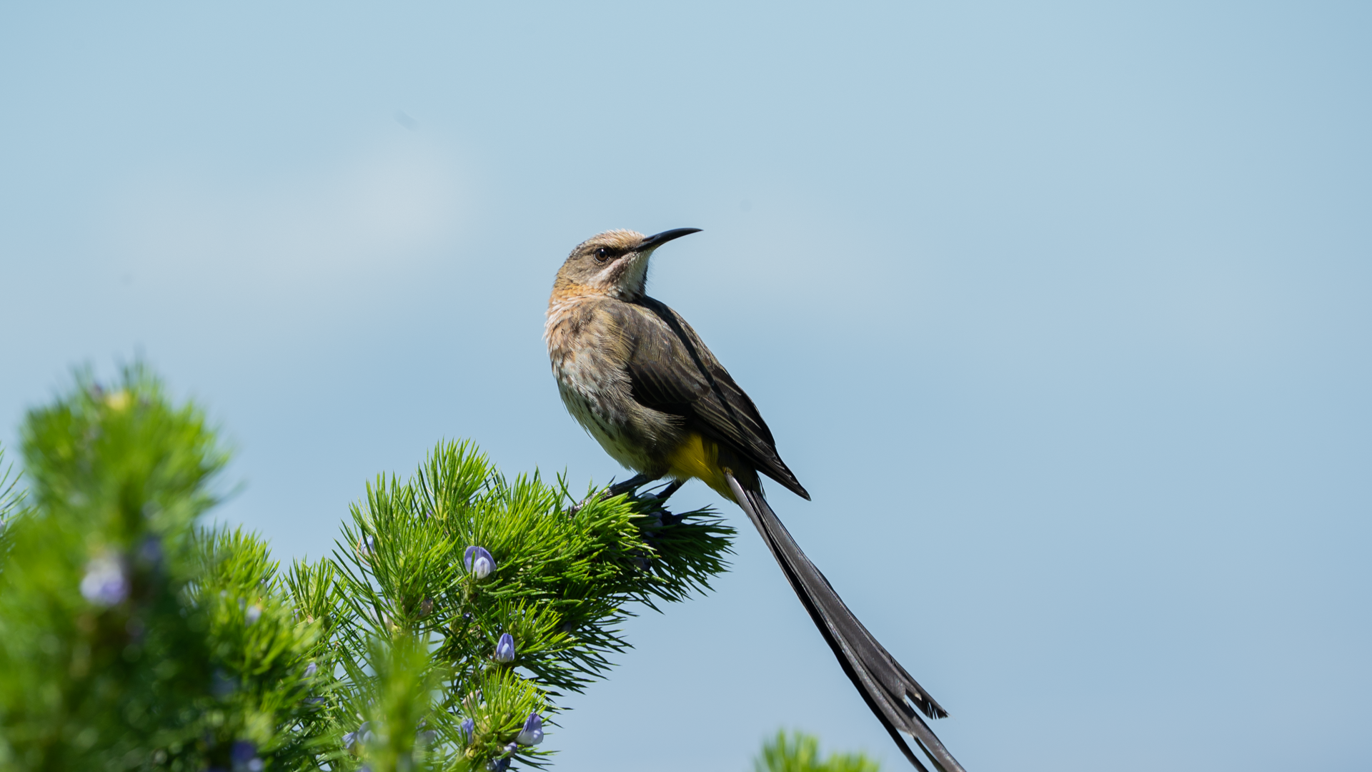 Tour Image - Cape to Kruger